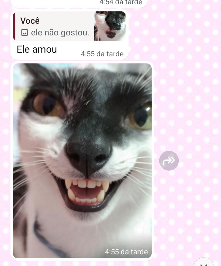 Eve chorona tweet media