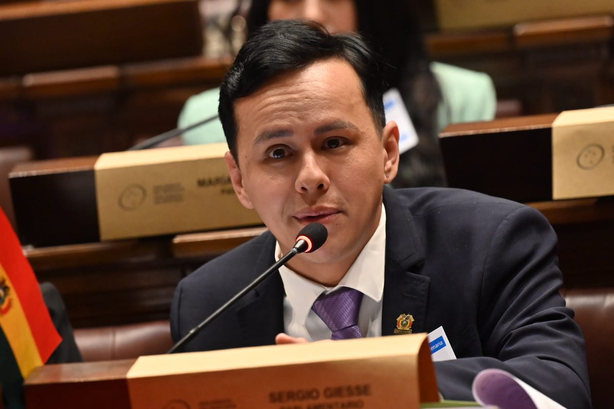 Parlamento MERCOSUR tweet media