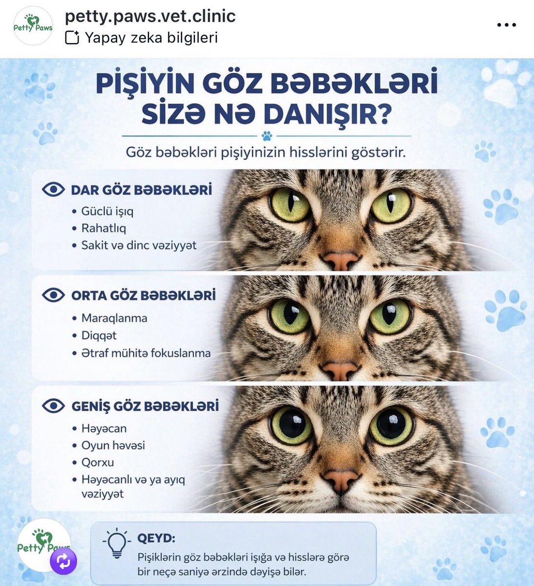 Belit Erşahin tweet media