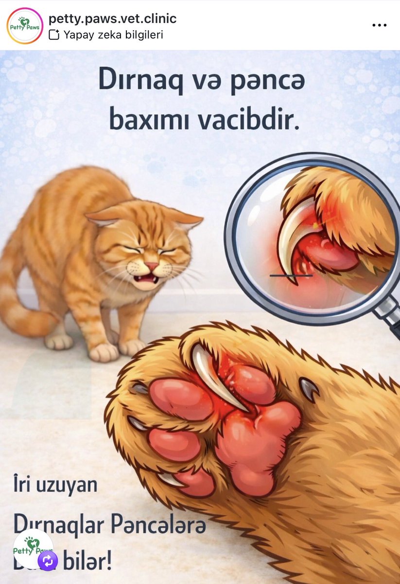 Belit Erşahin tweet media