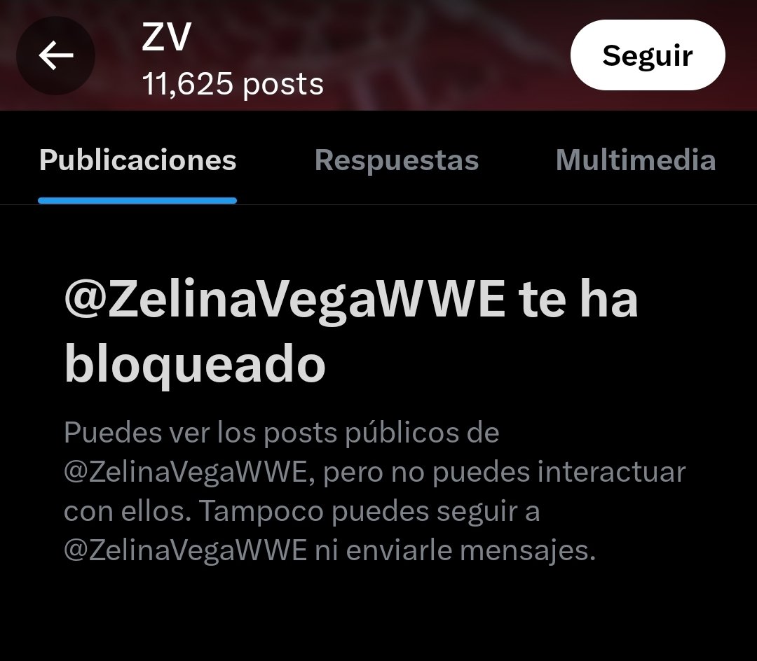 Gilbert de Rivia ⚔️ tweet media