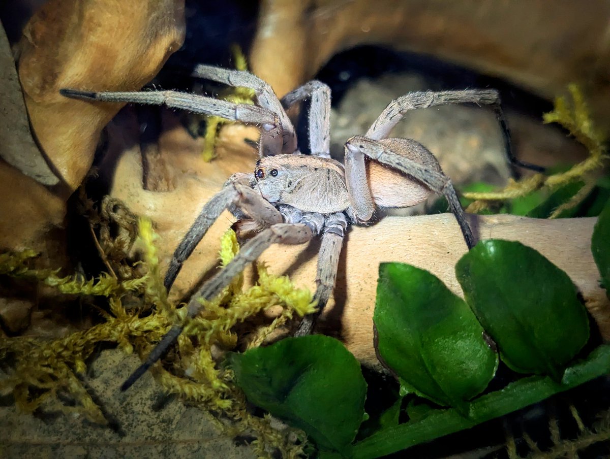 horses that discourage you tweet media