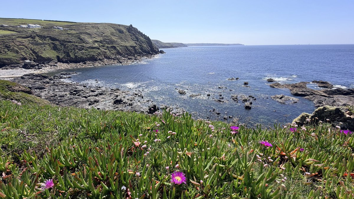 Blue Waters, Newlyn tweet media