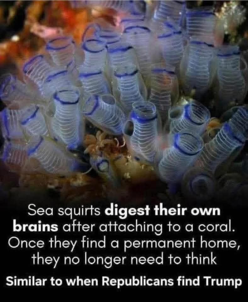 Miriam—I'm bicycle delivery guy—Solon tweet media