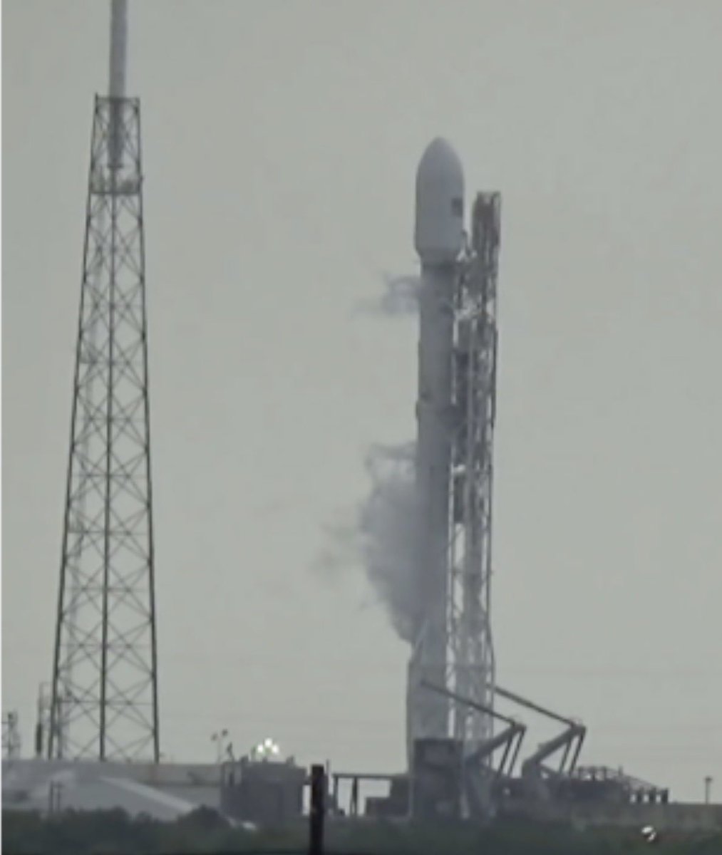 SpoxSpace tweet media