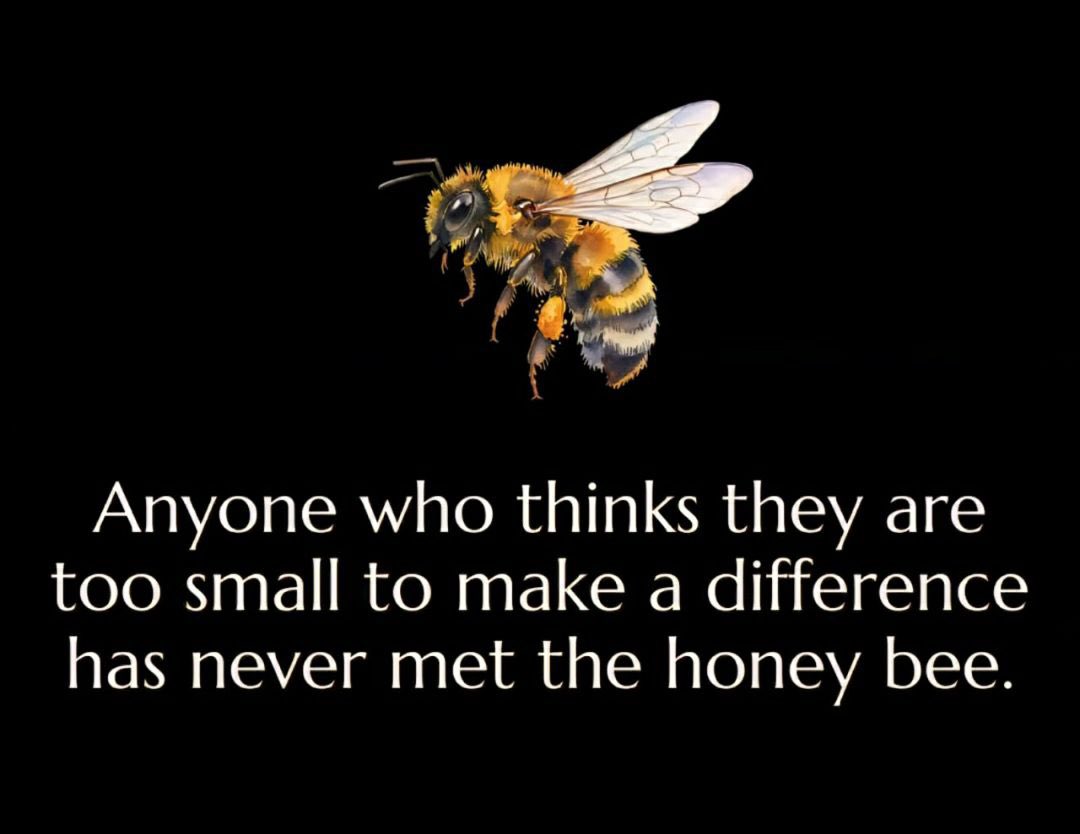 emma6USA's tweet photo. Never underestimate the little guy.  The honey bee changes the world one flower at a time.  President Trump changes America against all odds — with God on his side.  In the hive there is only one Queen… and right now America knows who the real leader is.  🐝 https://t.co/2Q99YF9dap