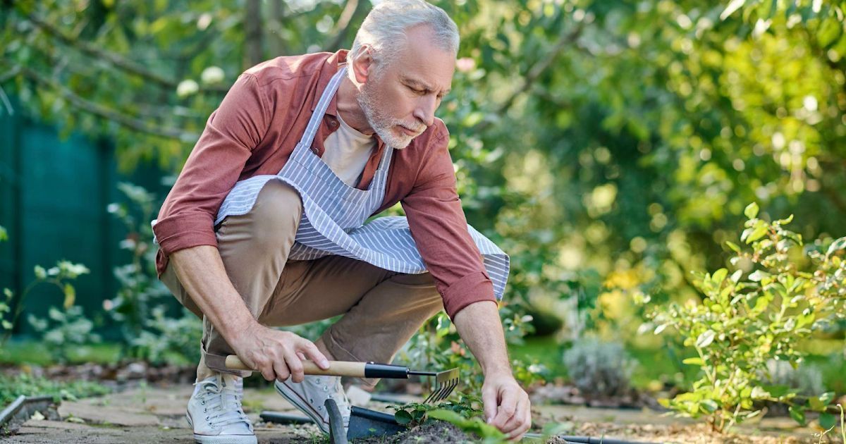 DeborahDian's tweet image. Are you thinking about moving to a rural home when you retire? If so, this article has some important issues to consider so you choose the right place. See the link below:

Link: baby-boomer-retirement.com/2025/05/where-…

#retirement #rurallife #farming