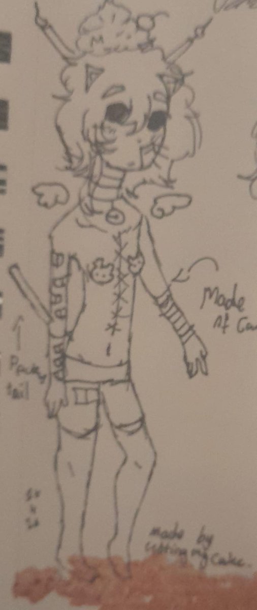 Cake of shtwt tweet media