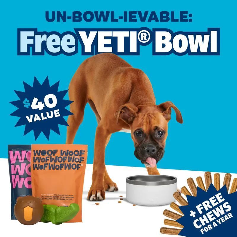 TheReviewWire's tweet image. Tough Toys Delivered Every Month! Free Yeti Bowl With 1st Box! (ad) inflcm.com/5Fz/eJul

#petlover #pets