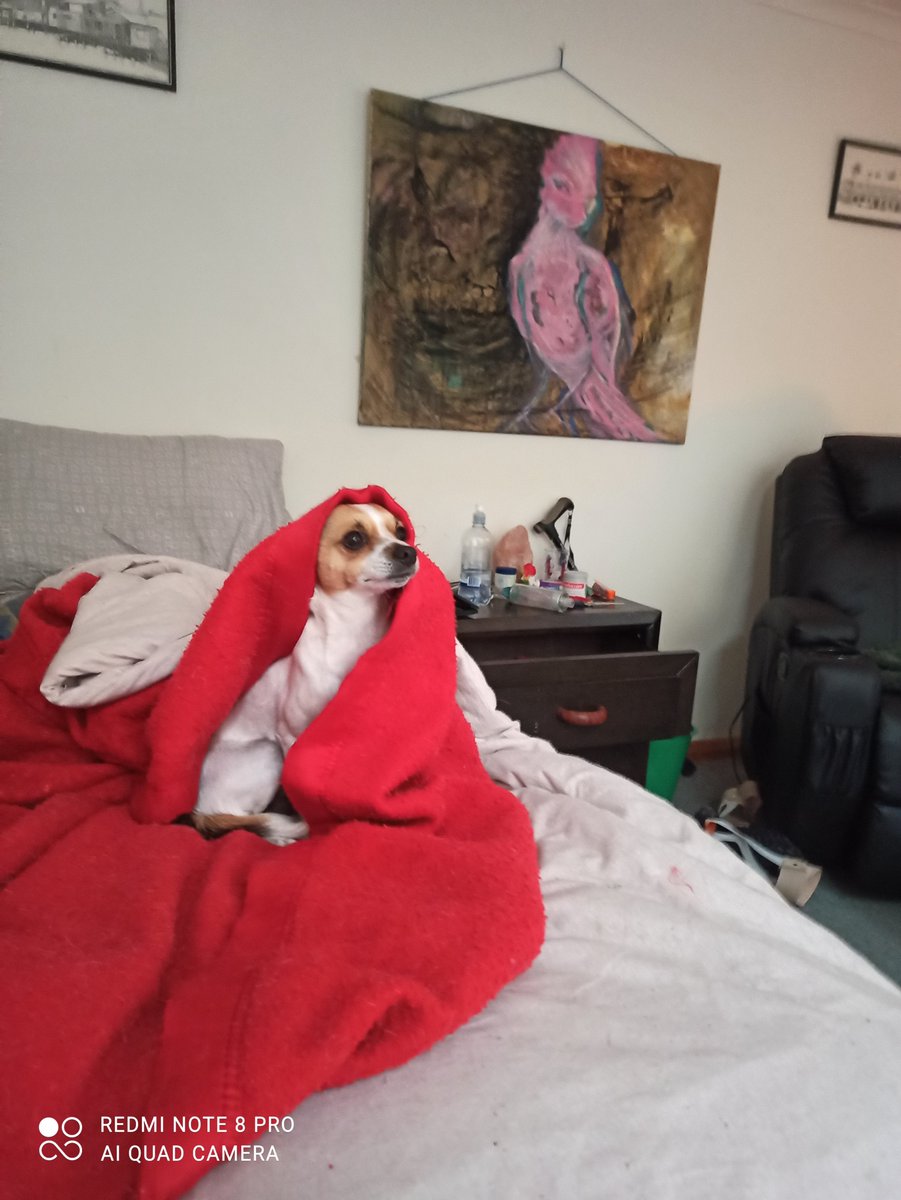 cecithepleb tweet media