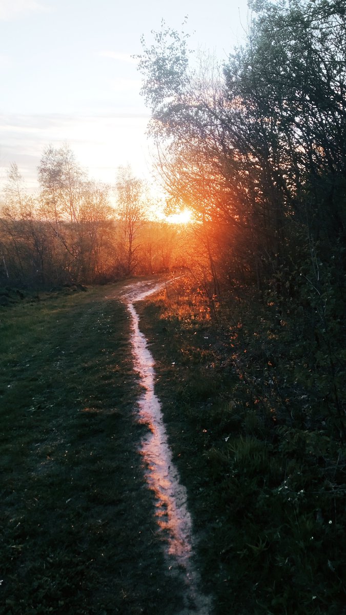 SSufyr's tweet photo. #захід #сонця https://t.co/83NrXsNu8P