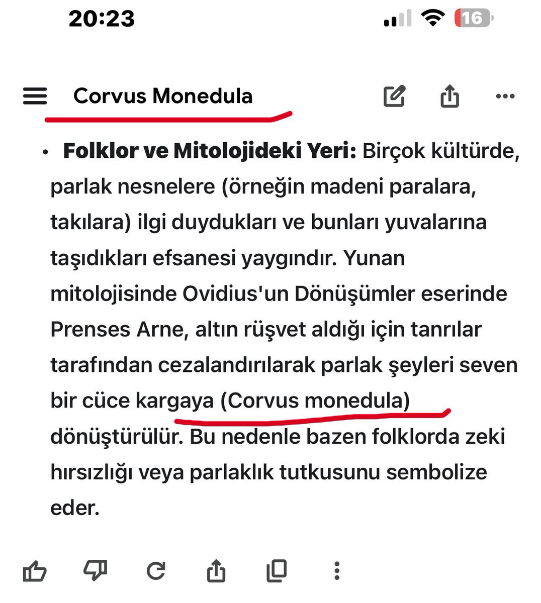 Yolsuzluk iddialarıyla yargılanan Ekrem İmamoğlu’nun seslendirdiği bu videoda adı geçen “Corvus Monedula”nın ne olduğunu Gemini’ye sordum. Yorumsuz olarak aktarıyorum:
🫢
“Folklor ve Mitolojideki Yeri: Birçok kültürde, parlak nesnelere (örneğin madeni paralara, takılara) ilgi