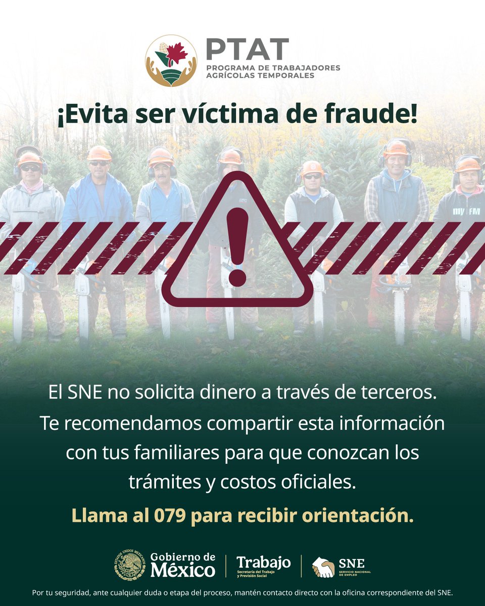 SNE Tamaulipas tweet media