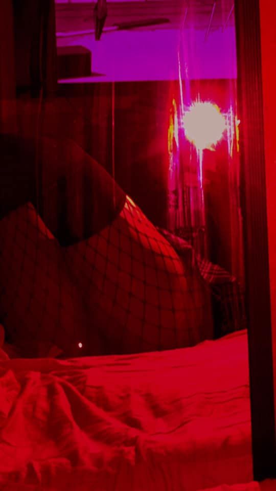 Cachorrita Caliente tweet media