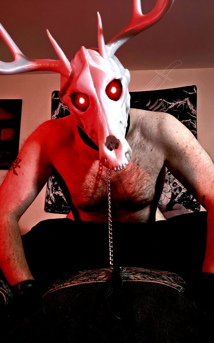 Daddy Apollo tweet media