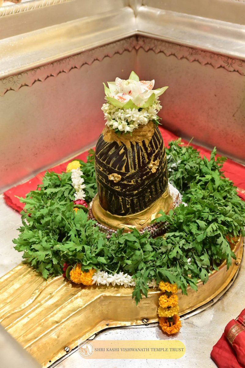 Shri Kashi Vishwanath Temple Trust tweet media