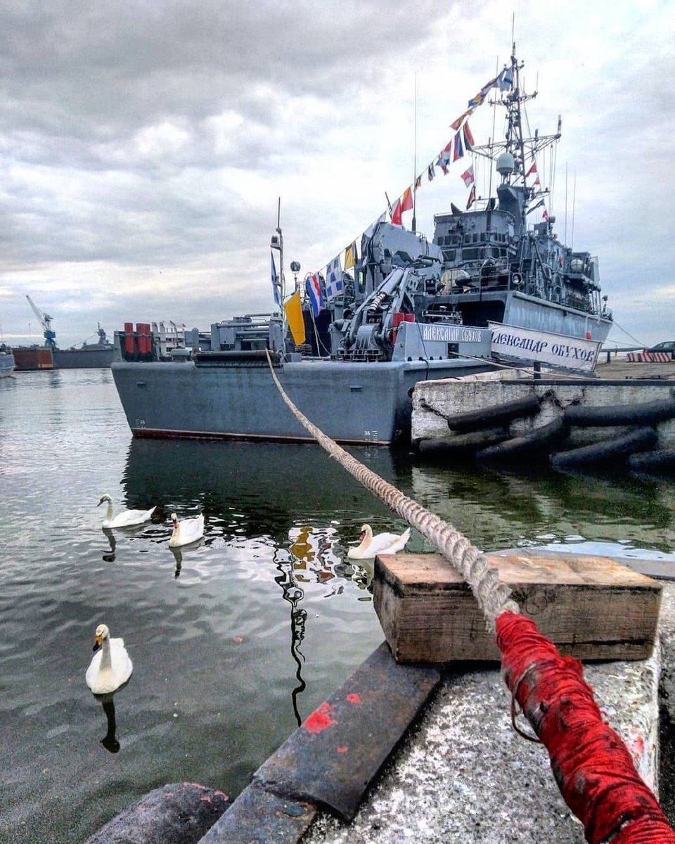 🇷🇺 ⚓️ 𝕮𝖔𝖒𝖒𝖔𝖉𝖔𝖗𝖊 𝕬𝖗𝖈𝖙𝖎𝖈 ⚓️ tweet media