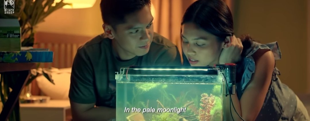 francis valle tweet media