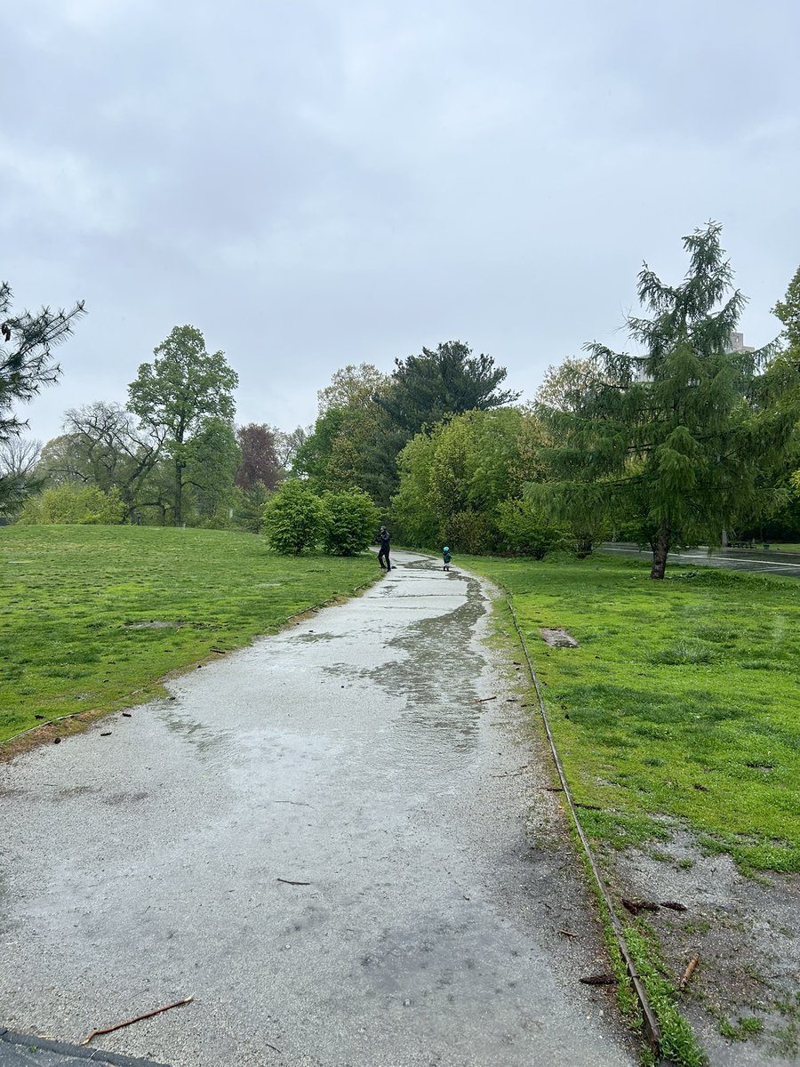 Paul Lisbon 🌻 tweet media