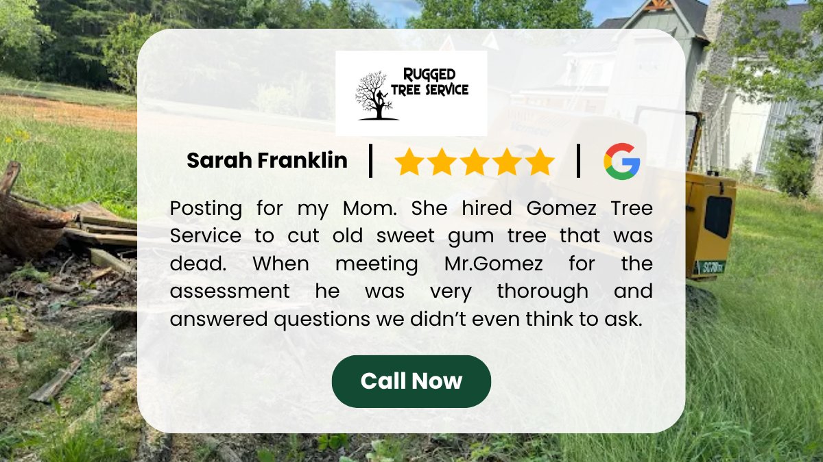 GomezServi40091's tweet image. Sarah Franklin shared her experience with Gomez Tree Service — from detailed assessment to careful utility planning before removing a dead sweet gum tree.

maps.app.goo.gl/6Qsuw3PNLC4dtS…

Gomez Tree Service
200 Eno Rd, Dickson TN 37055
615 818-3197

#TreeRemoval #TreeCare