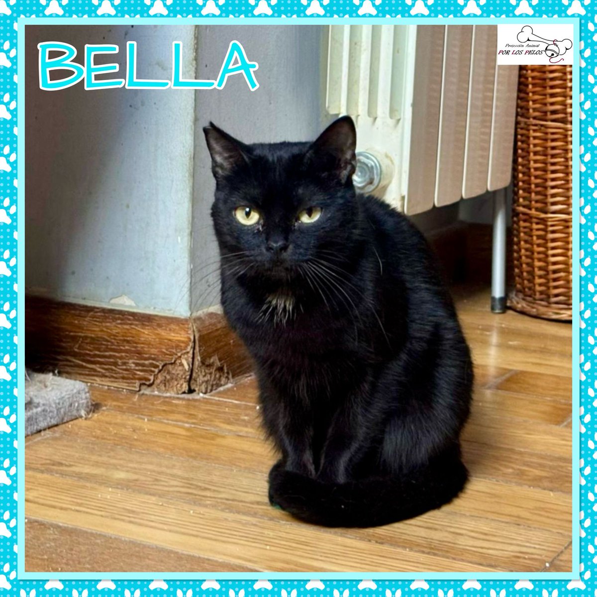 𝐏𝐎𝐑 𝐋𝐎𝐒 𝐏𝐄𝐋𝐎𝐒 tweet media