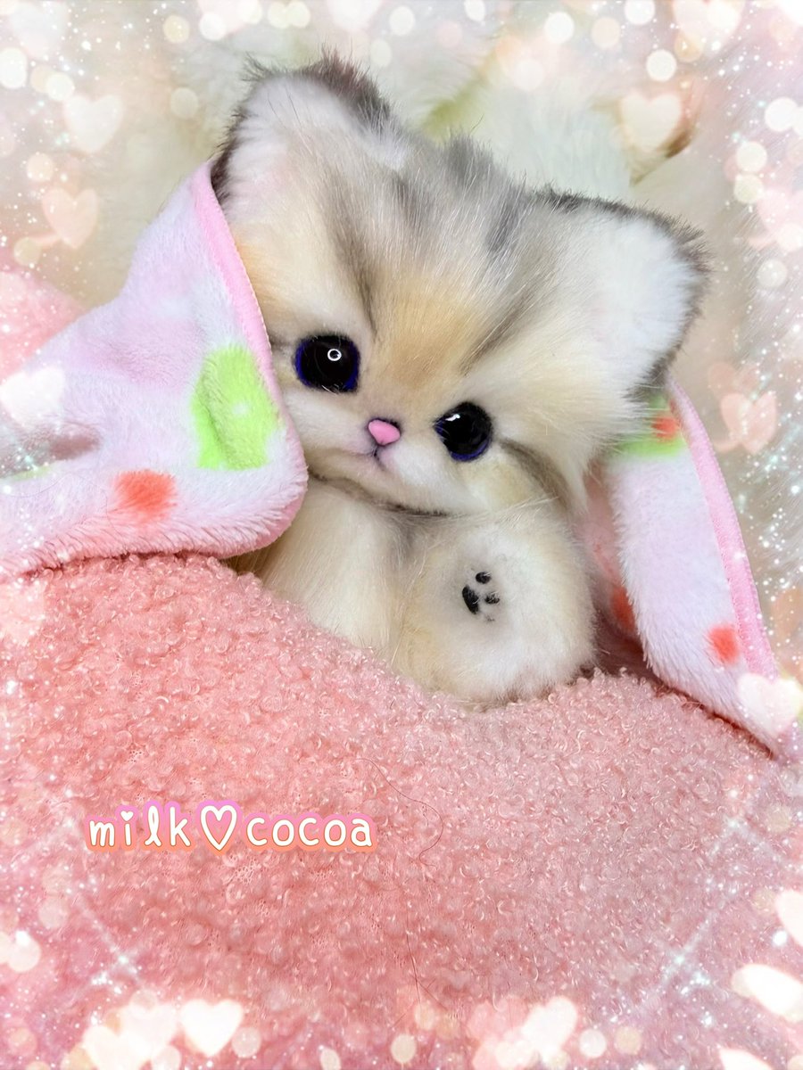 チンチラゴールデン♡子猫のプリンちゃん♡アートドール♡ぬいぐるみ♡ 211228 銀 チンチラゴールデン（ペルシャ猫） - 【公式】ぬいぐるみの