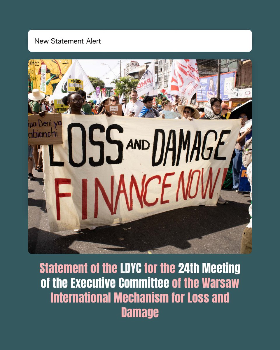 Loss and Damage Youth Coalition tweet media