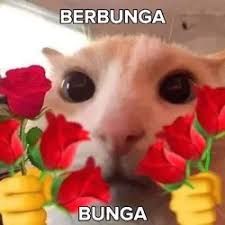 ayaY Musapir 🐫 tweet media