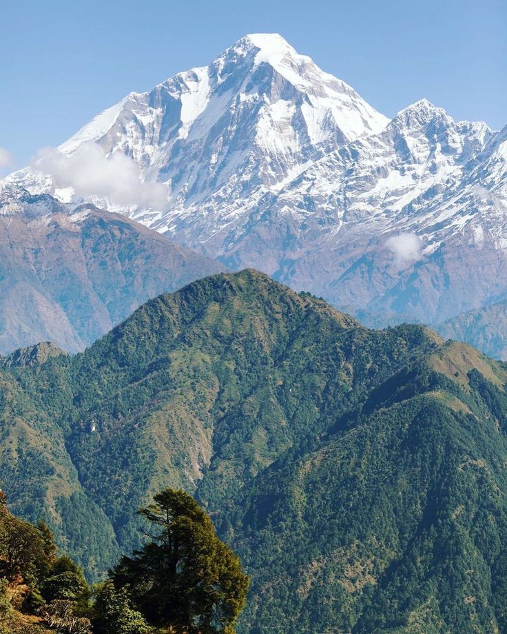 Adeyemi Aseybead tweet media