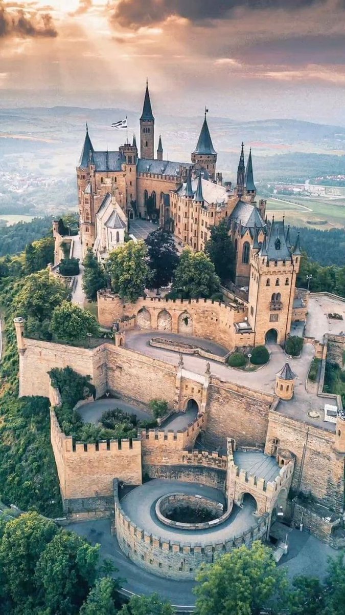 ReNature🦋 tweet media