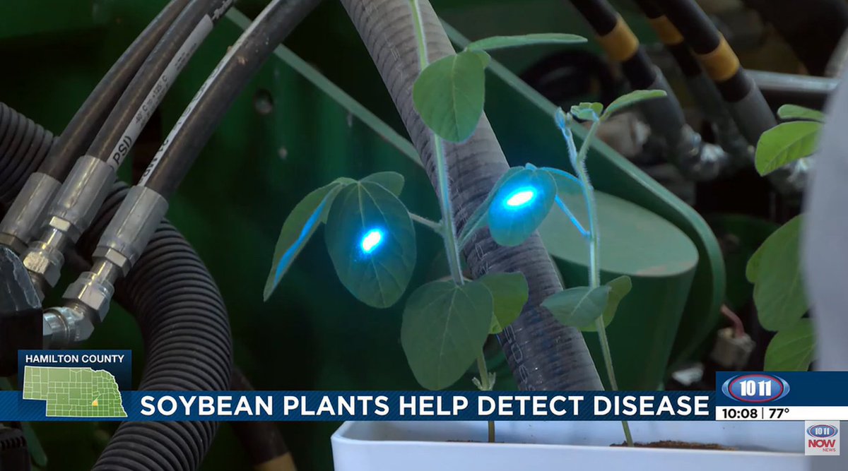 Inner_Plant's tweet image. Soybean plants help detect disease 🌱

Listen to #InnerCircle member @cornfedfarmer share his thoughts in the news story below on how #CropVoice is saving farmers time and operational costs with early insights to manage fungal diseases in soybeans.

📹 : 1011now.com/2026/04/14/pla…