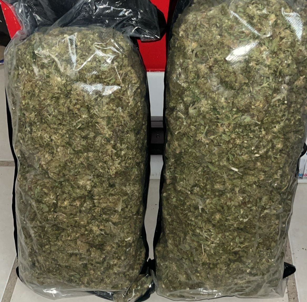 HighmoodsMT's tweet image. Cuantos ocupan? A la orden. 🐓

#cannabis #weed #cdmx