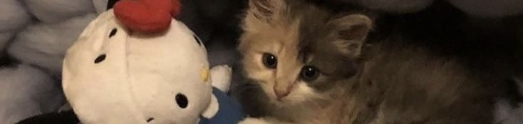 ren 𝜗ৎ tweet media