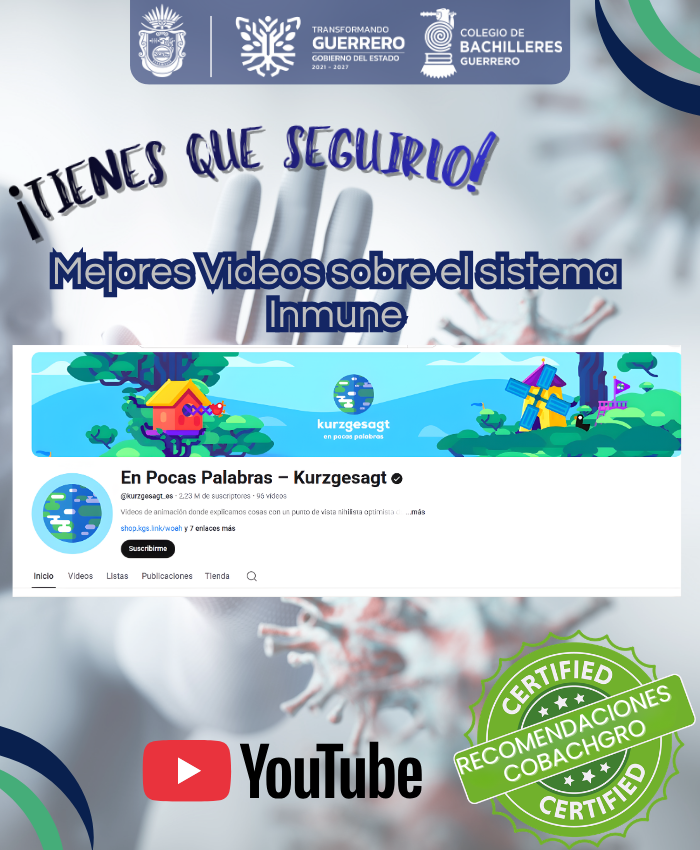 Colegio de Bachilleres Guerrero Oficial tweet media