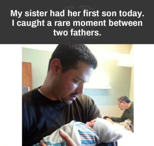 WholesomeMemes tweet media