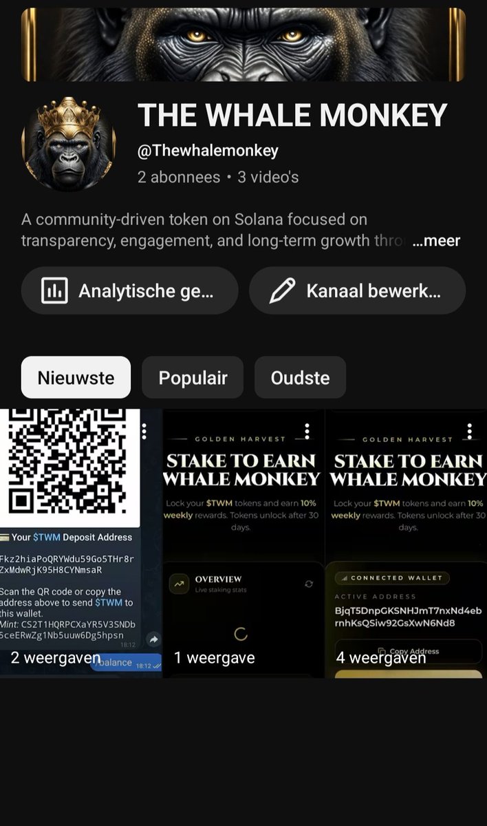 THE WHALE MONKEY tweet media