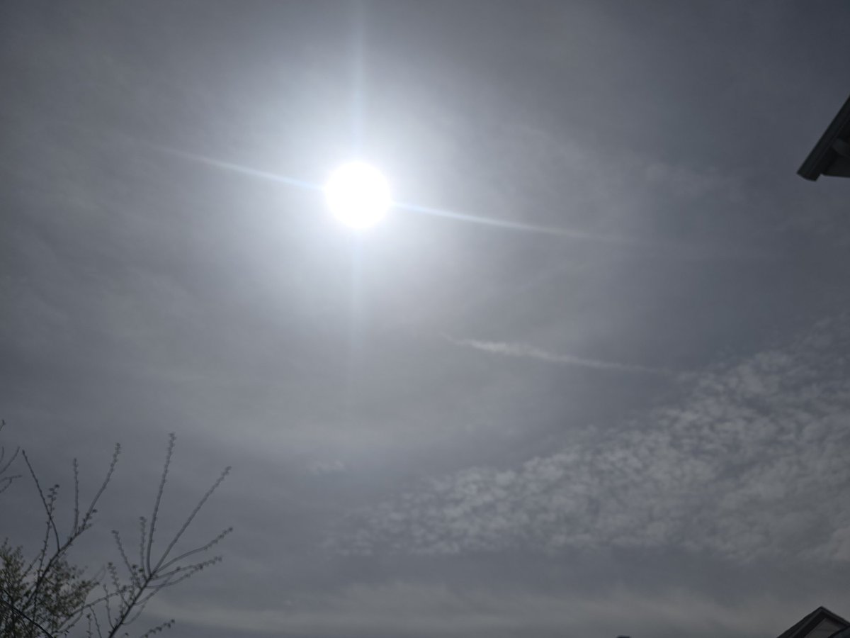 Jesse Lynn♥️ tweet media