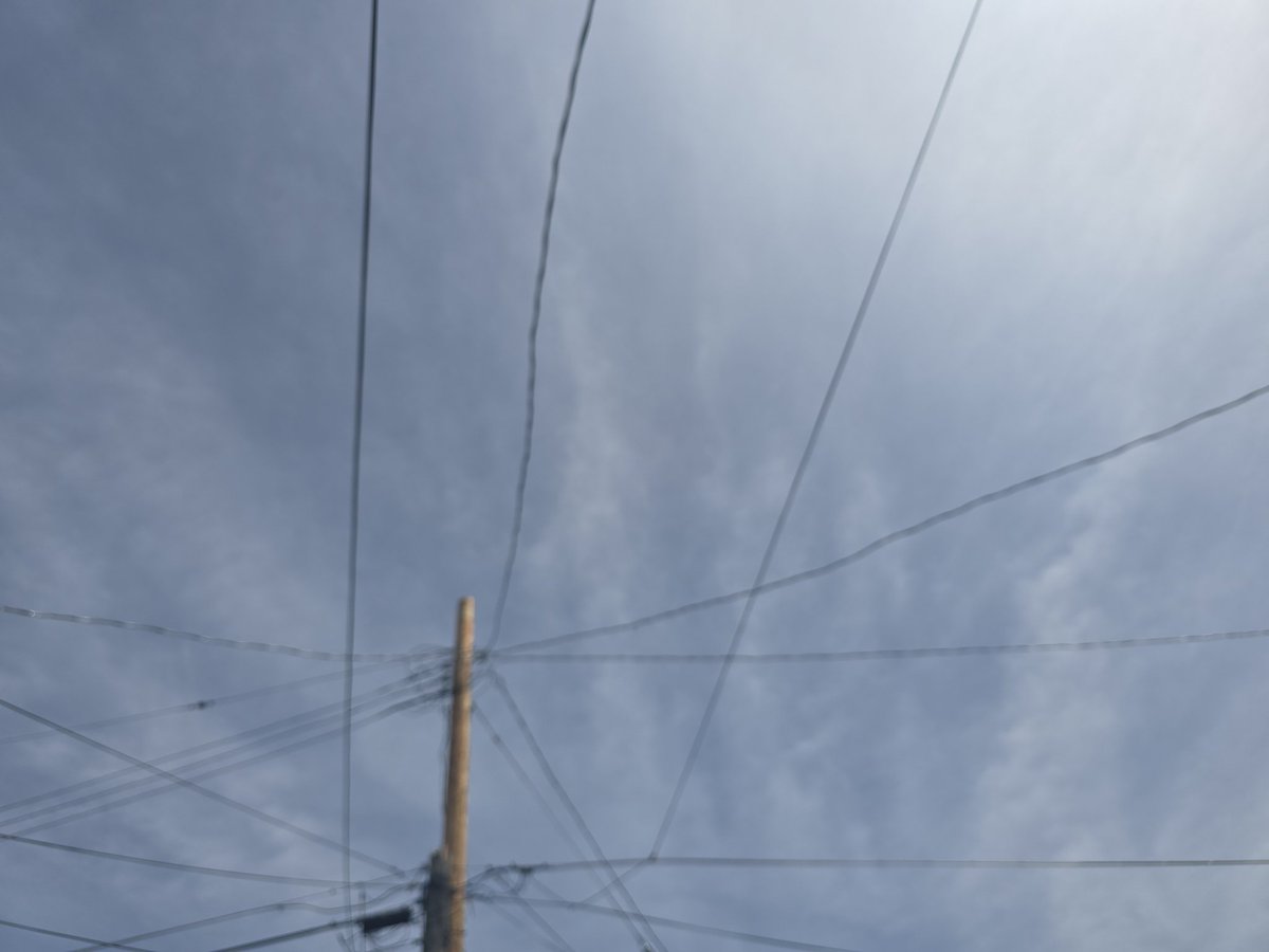 Jesse Lynn♥️ tweet media