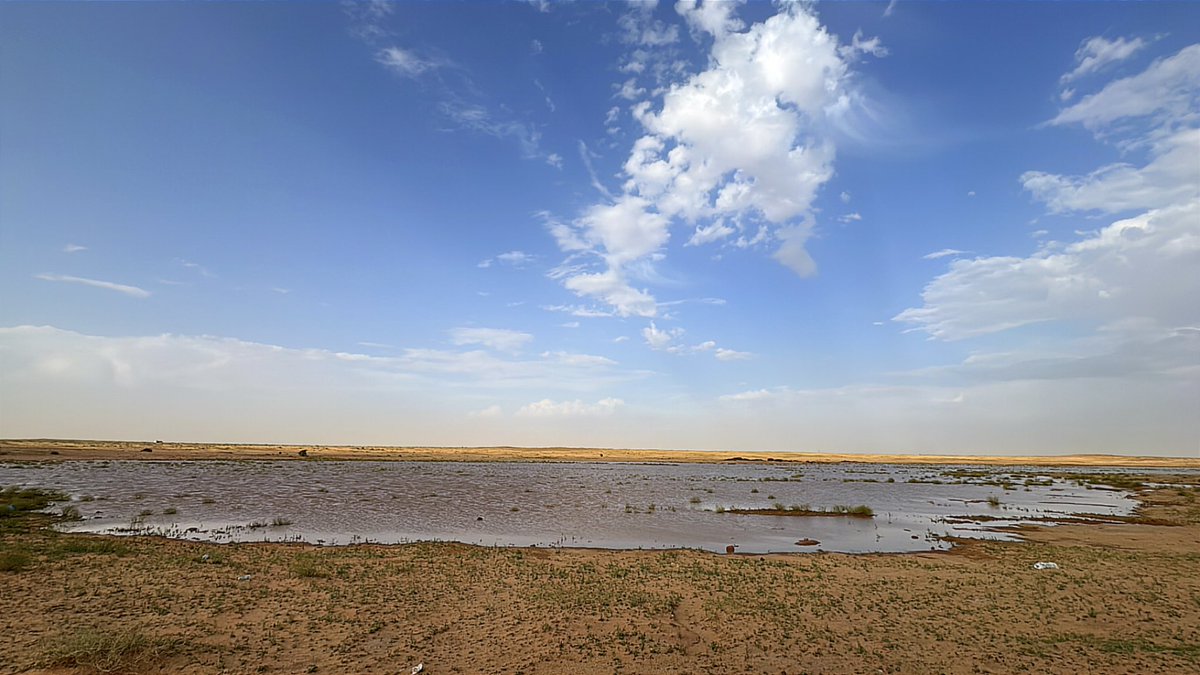 محمد الفرحان tweet media