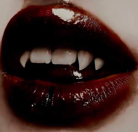 𝓐𝓿𝓪 tweet media