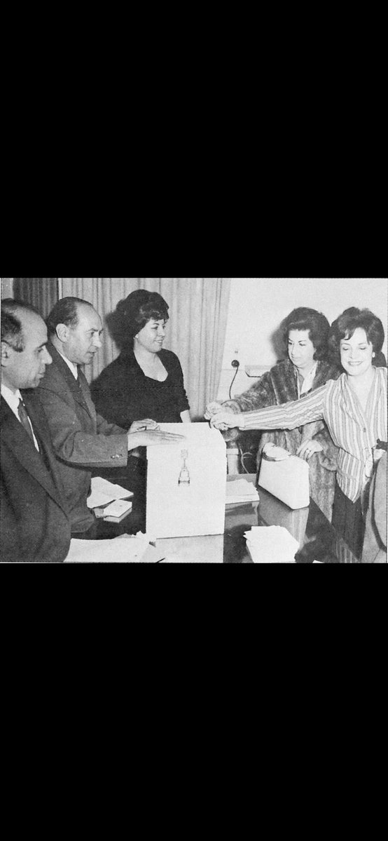 Fay( Fattaneh) tweet media