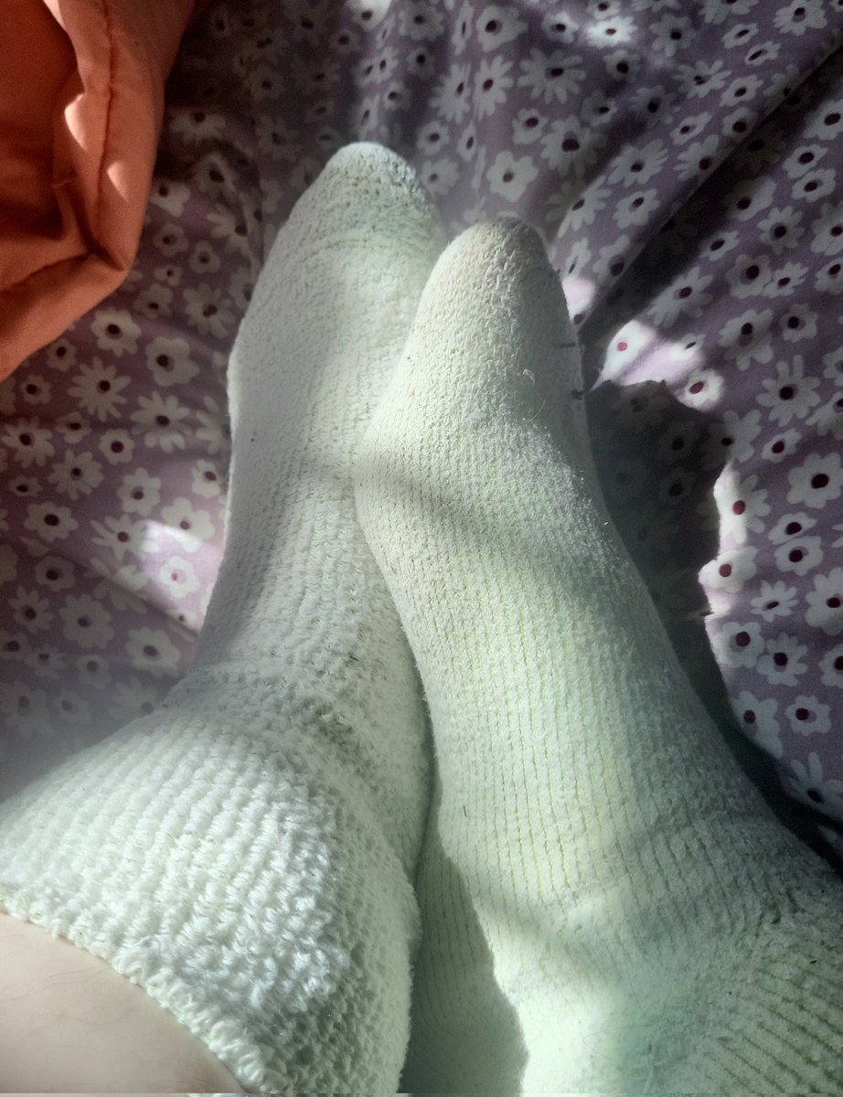 pupp1es_p4rts's tweet photo. morning gooners! we can technically call today another #mismatchmonday because i accidentally turned one of my fuzzy socks inside out ૮⍝• ᴥ •⍝ა do you still think they're cute?

#feet #footfetısh #footworship #fuzzysocks https://t.co/Jl0D1xSddc