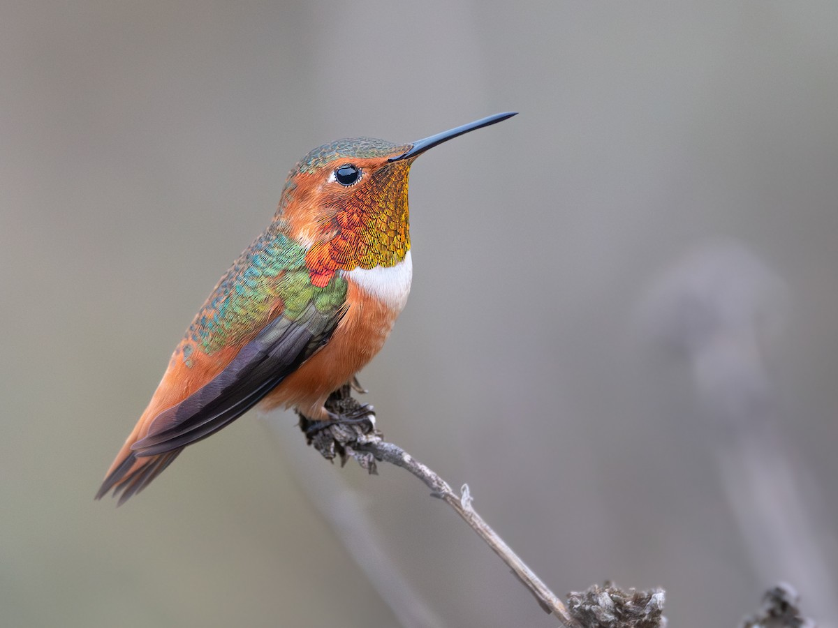 Give A Shit About Nature tweet media