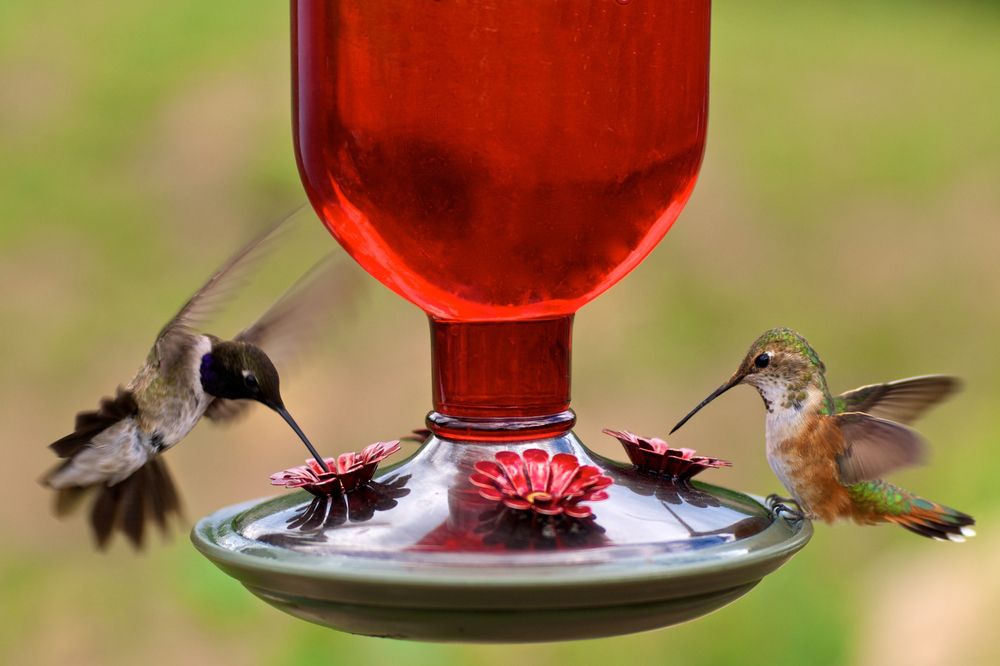 Give A Shit About Nature tweet media