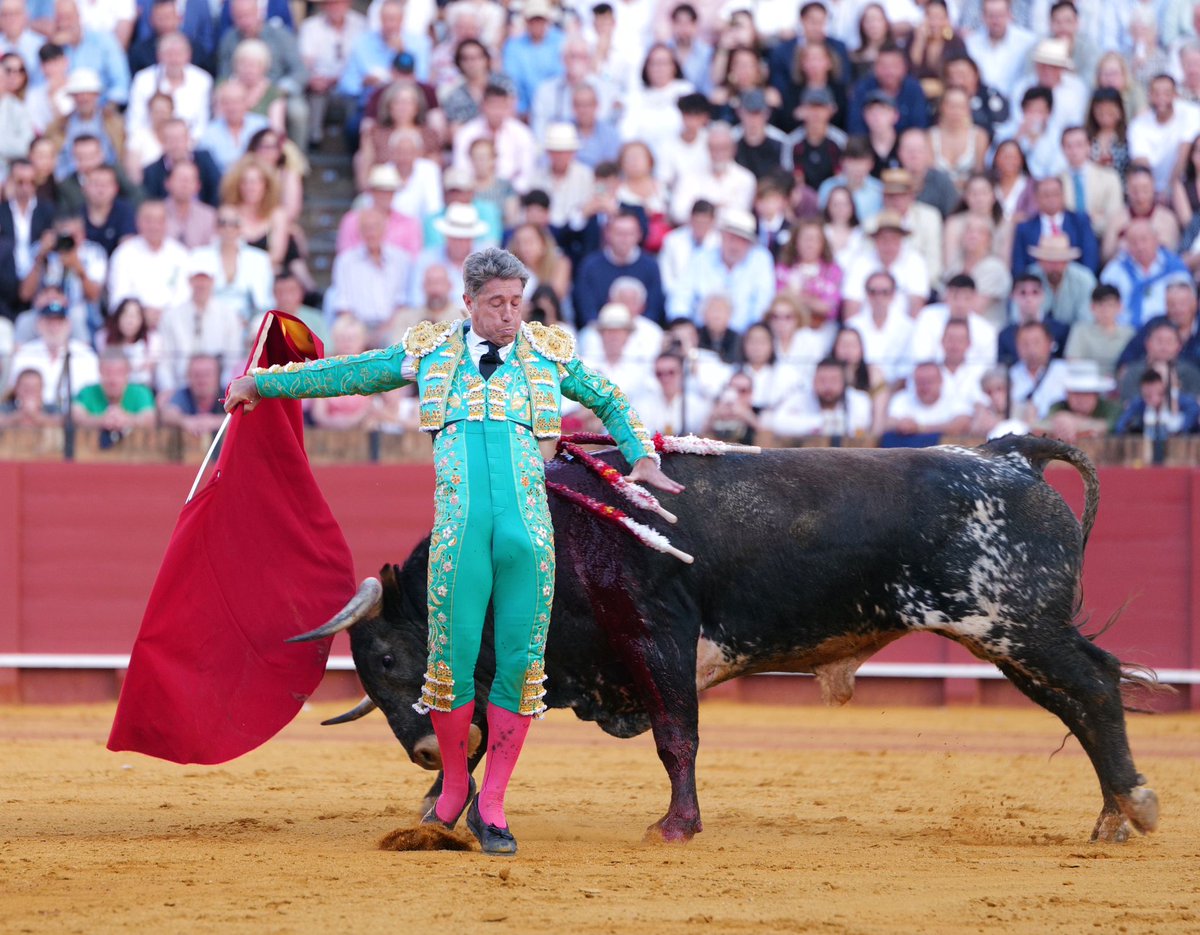 sevillataurina's tweet photo. 15ª FERIA de ABRIL/ CRÓNICA.- Miuras, complicados para la lidia, bravos en el caballo / Por
@ManoloVieraN (https://t.co/9MEMgaOtEH) @sevillataurina @pacomateosST @isanchezmejias @UTAMAESTRANZA @LancesMaestranz @JBAYORT @jmlaza @PTTJuanOrtega @TTUSevilla @CTSevilla24 @ctaurinopc https://t.co/DwqLuv8BH3