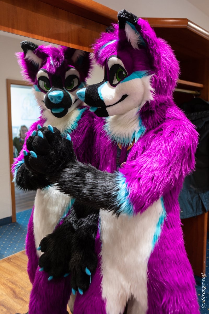 CycurCanine's tweet photo. Purple doppelgänger!?
Scheming together…

📸 @Strange99wolf https://t.co/6CqnXFk7ii
