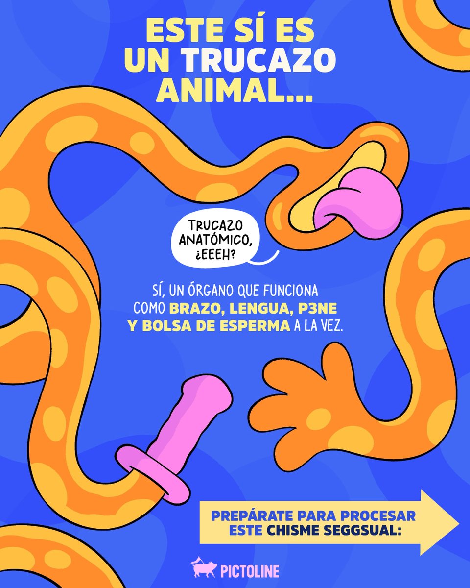 pictoline's tweet image. 🐙 Y el pulpo: “deja te hago unas cosquillitas nomás” 👁️🫦👁️

#animales #datoscuriosos #octopus #curiosidades #reinoanimal #pictoline