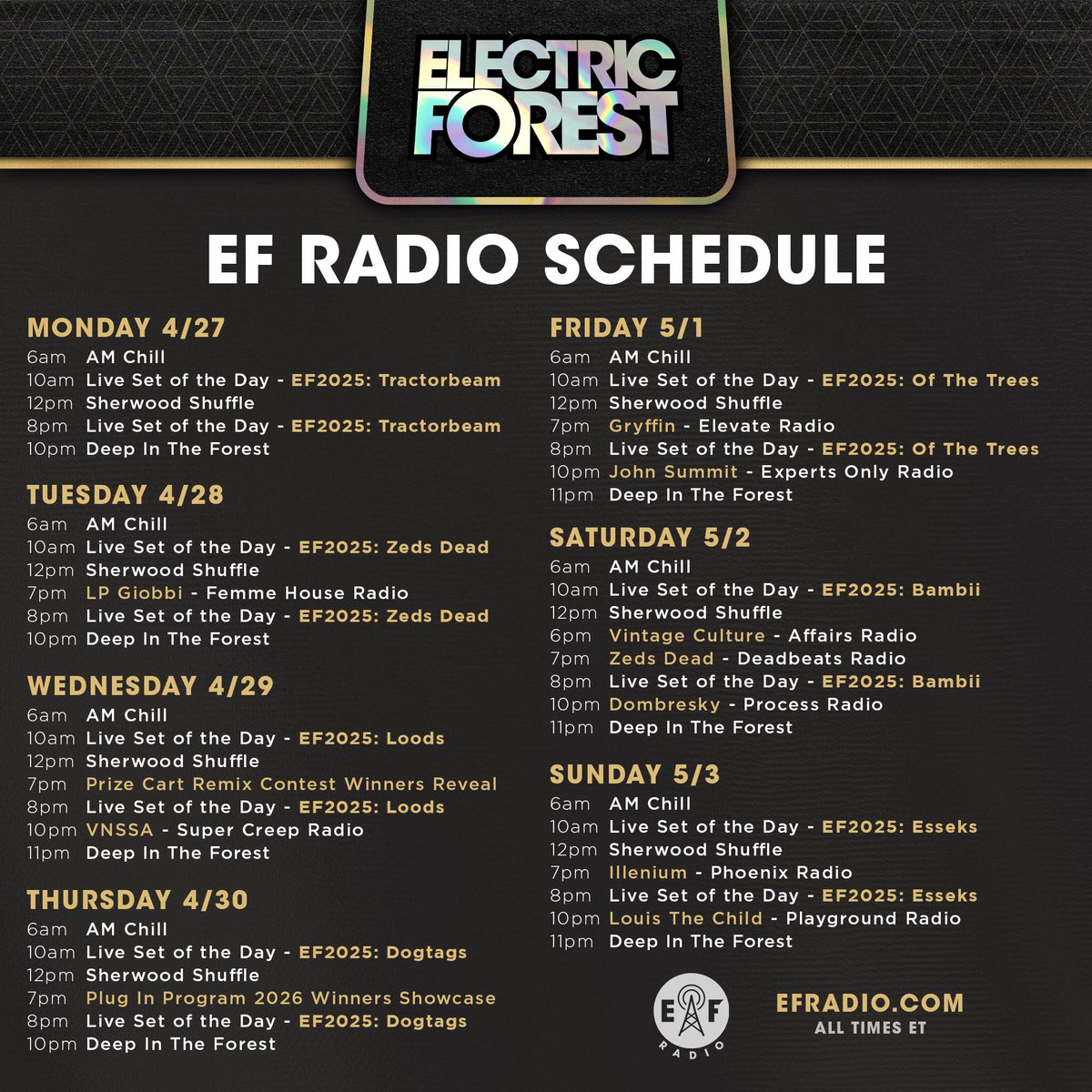 Electric Forest ⚡🌲 tweet media
