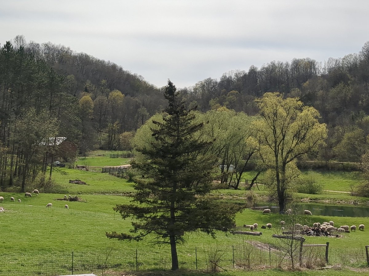 Peter Allen tweet media