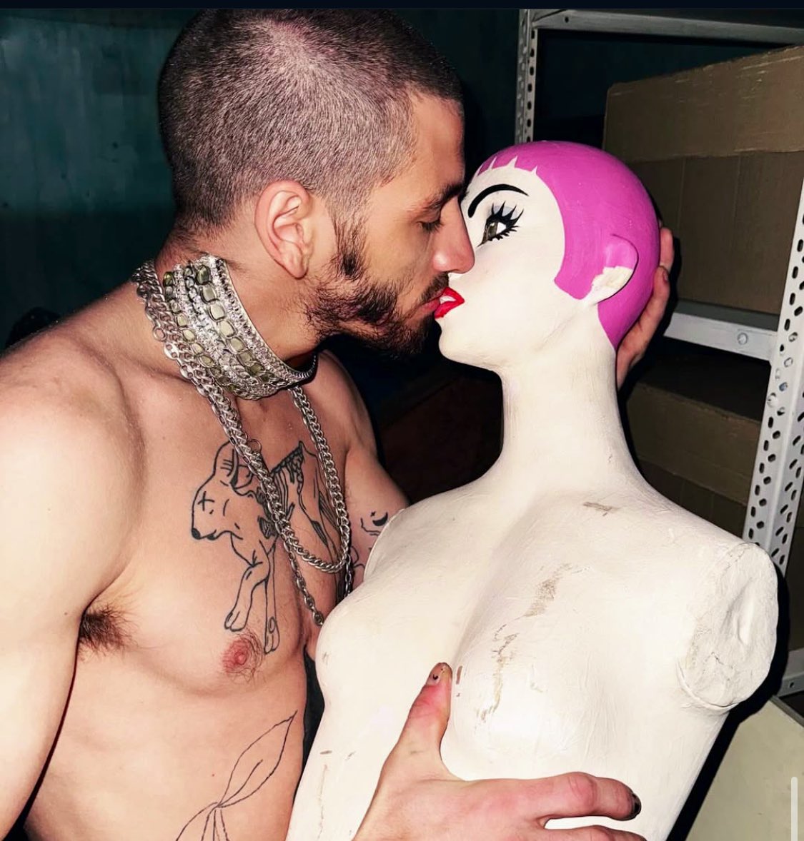 Sebastian tweet media